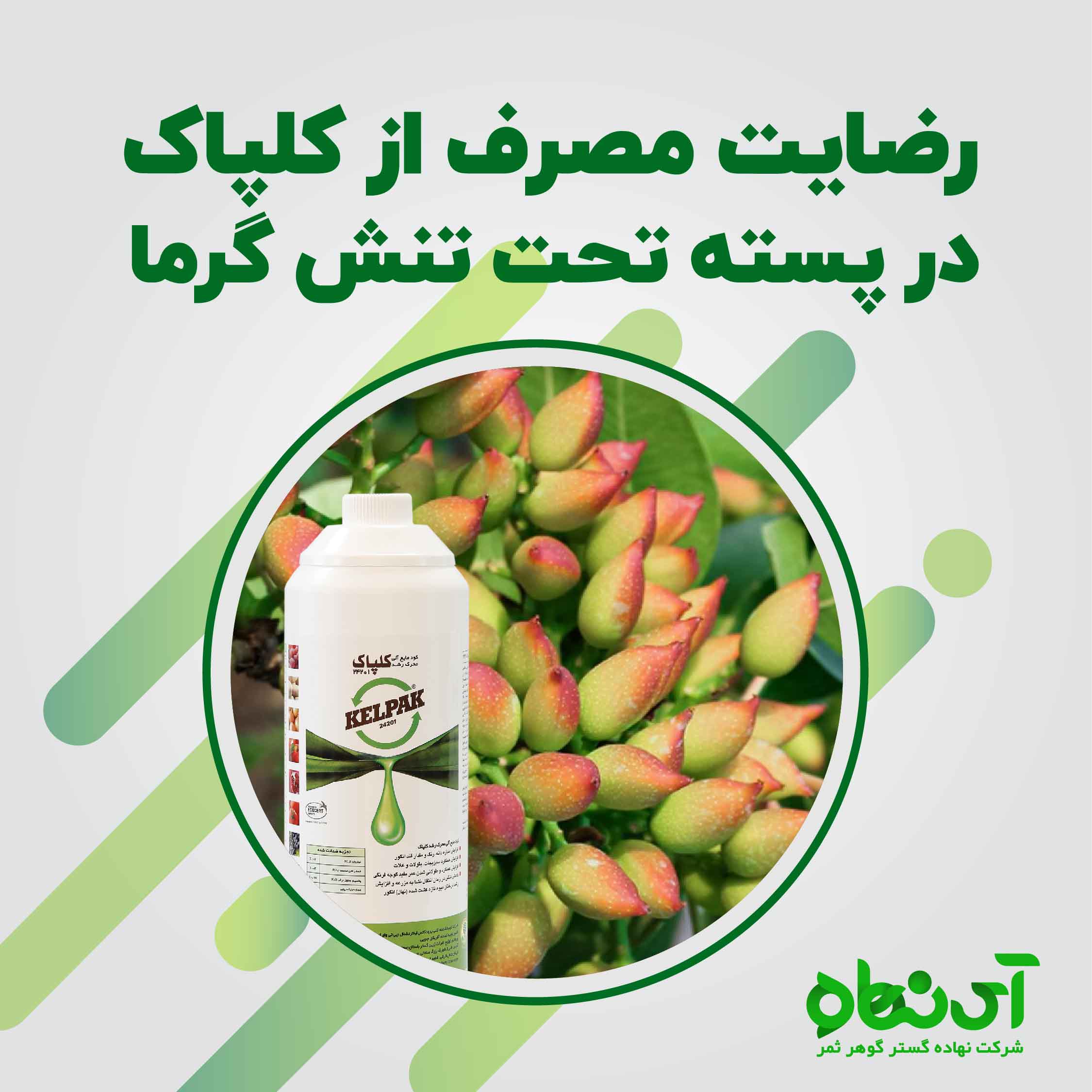  رضایت مصرف از کلپاک در پسته تحت تنش گرما